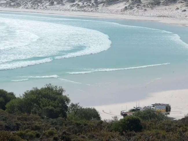 Mr Payne’s gruesome death is the latest in a string of shark attacks in Western Australia in recent years. Picture: 9 News