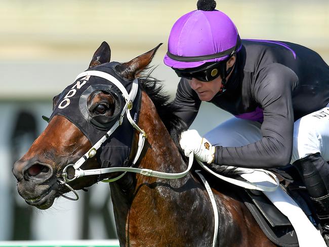 Jockey Mark Du Plessis rides Boomtown Lass to victory in race 5, the BenchMark 78 Handicap, during The Metro Races at Doomben Racecourse in Brisbane, Saturday, November 30, 2019. (AAP Image/Albert Perez) NO ARCHIVING, EDITORIAL USE ONLY