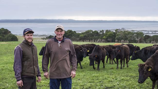 Robbins Island Wagyu beef cattle farmers Keith Hammond and his son Alex on their mainland Tasmanian property with the Robbins Island passage behind them where a 1.8km causeway is planned. Picture: Chris Crerar