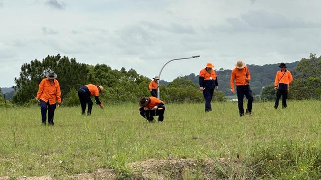 Members of the National Fire Ant Eradication Program carefully inspect a site in South Murwillumbah for any sign of red imported fire ants. Picture: supplied.