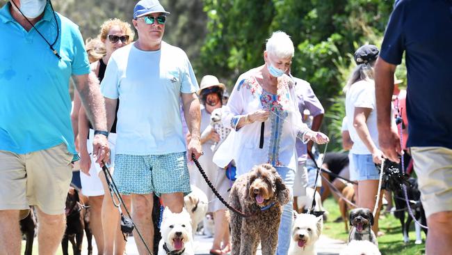 Dog owners want Sunshine Coast Council to keep La Balsa Park and Point Cartwright dog friendly. Picture: Patrick Woods.