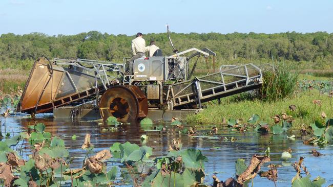 Friends of Fogg Dam have secured a new weed harvester that will be used to clear the waterway