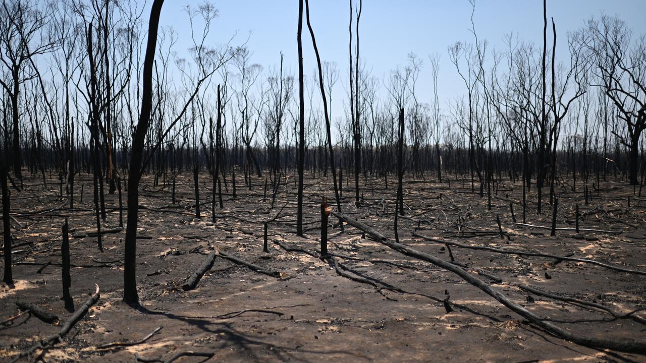 Residents ordered to evacuate as fires burn along NSW/QLD border and ...