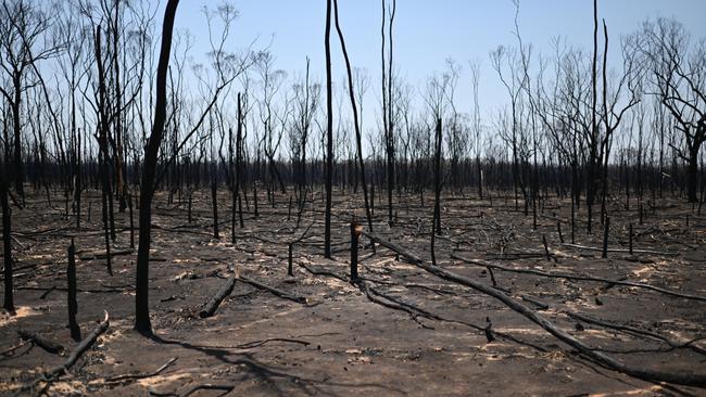 Fires have already torn through Tara, about 300km west of Brisbane. Picture: NCA NewsWire / Dan Peled