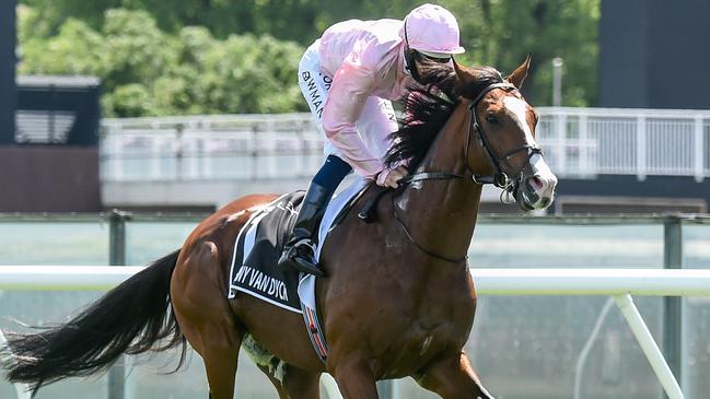 Anthony Van Dyck broke down in the Melbourne Cup. Picture: Getty Images