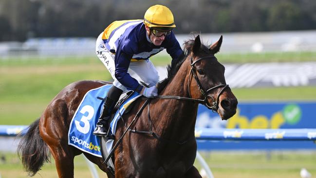 Mark Zahra combines with Pharari to win at Sandown on Wednesday in a near-course record time. Picture: Vince Caligiuri/Getty Images