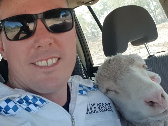 The officer took a selfie with his new friend before dropping her off a holding pen. Picture: NSW Police Force