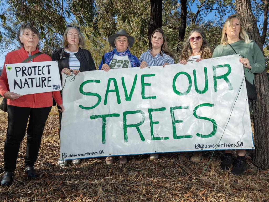 If council says no to the proposal, it’s ‘unlikely to go ahead’. Picture: Ben Clark