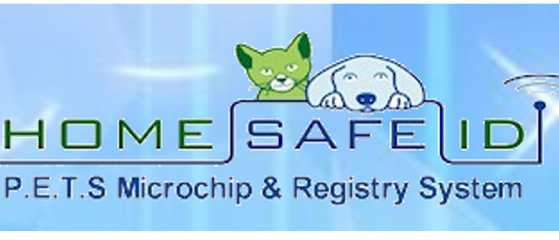 HomeSafe logo from company webpage