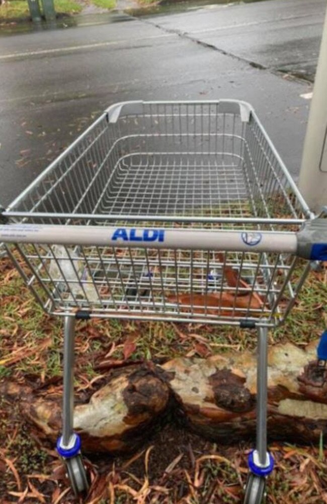 And now the German retailer has introduced smaller carts.