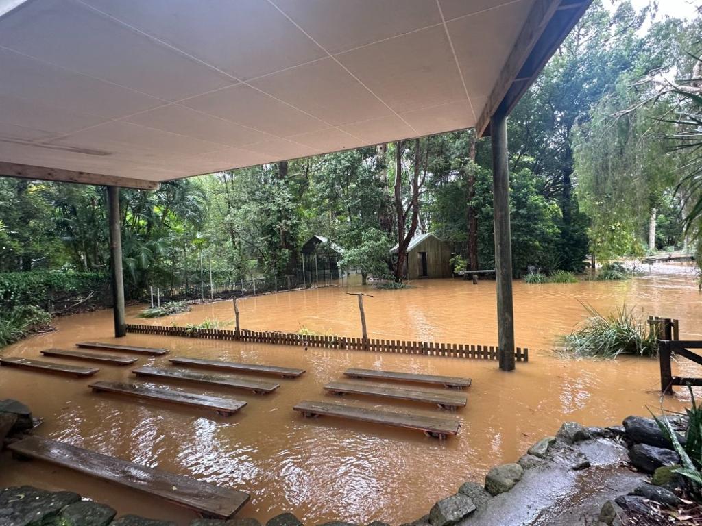 Zookeepers claim it only took 30 minutes before the floodwaters rushed in. Picture: Byron Bay Wildlife Sanctuary