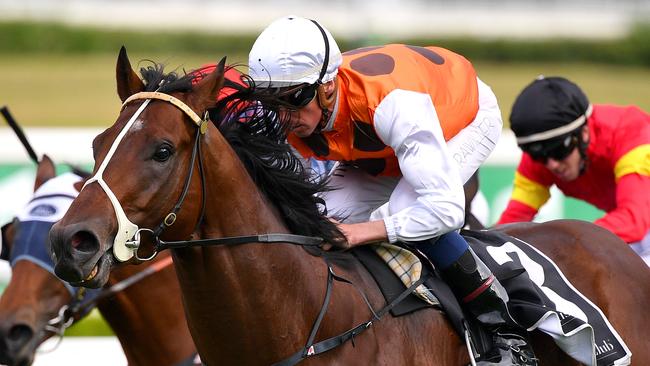 Bottega has trialled well heading into his return. Picture: AAP