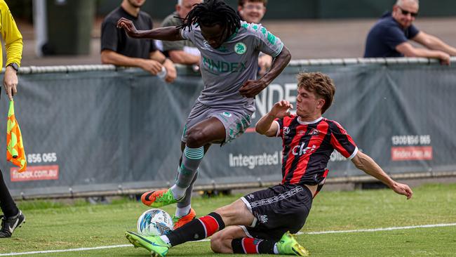 Green Gully in action against Altona Magic.