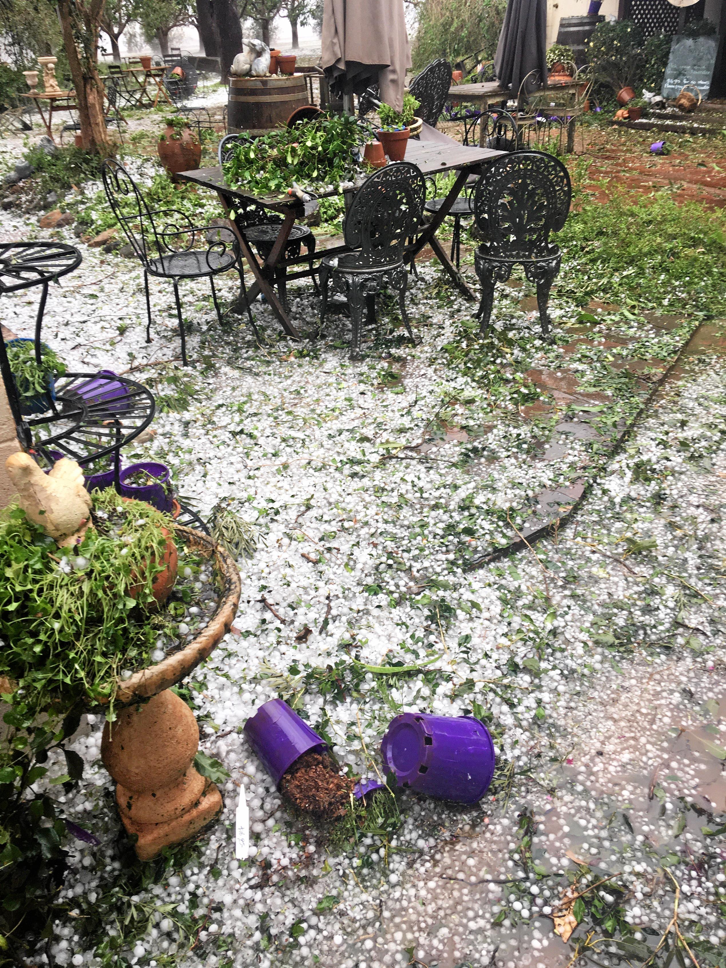 POTTED AND PUMMELED: The lavender farm took the brunt of the storm, receiving buckets of hail and broken windows before losing the roof off of the antique shed. Picture: Erin Anne Zaleski