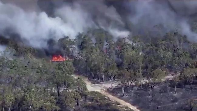 Bushfire Rages Around Menai 