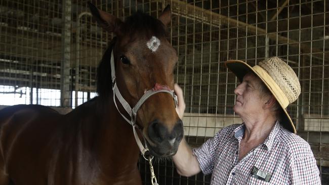 Innisfail horse trainer Greg Strickland was Melbourne Storm fullback Billy Slater's first employer. PICTURE: MATT NICHOLLS.