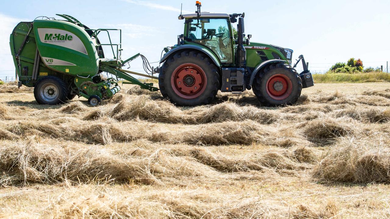 Fodder prices surge