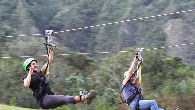 There are amazing ziplines all around the world and Brisbane is destined to have one, according to Brisbane City Council.