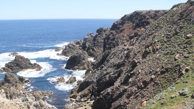 There is no such thing as fighting for a good vantage point on King Island. Picture: Johanna Leggatt