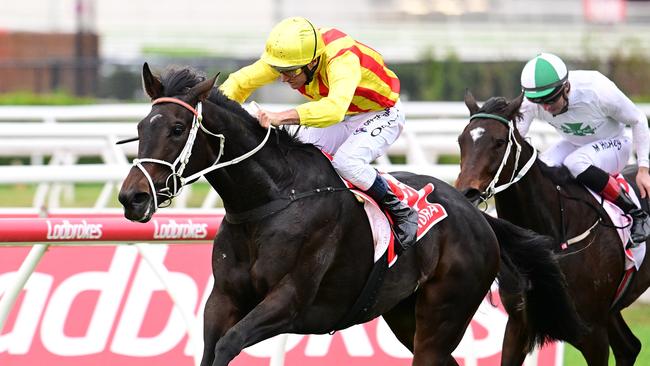 Amokura will make her return after nearly 12 months in the Lord Mayor’s Cup at Rosehill. Picture: Grant Peters/Trackside Photography