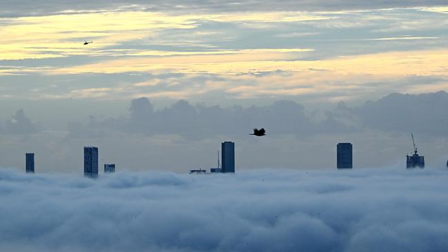 Only the tops of skyscrapers can be seen during heavy fog this morning. Picture: Lyndon Mechielsen