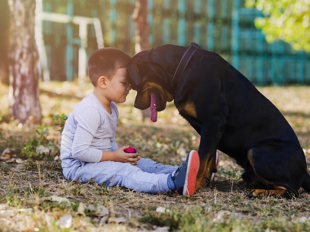 Park made safer for late playtime