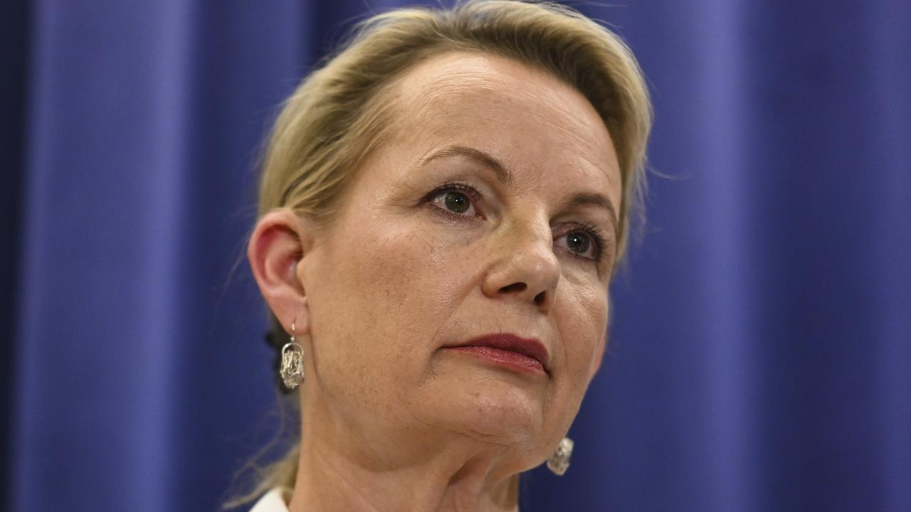 Sussan Ley accused the government of acting at the ‘height of ignorance’. Picture: NCA NewsWire/ Martin Ollman