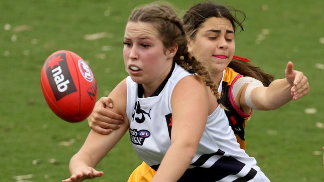 NAB League Girls: Dandenong Stingrays v Northern Knights.45 Molly McErlain for theNorthern Knights.Picture : Stuart Milligan