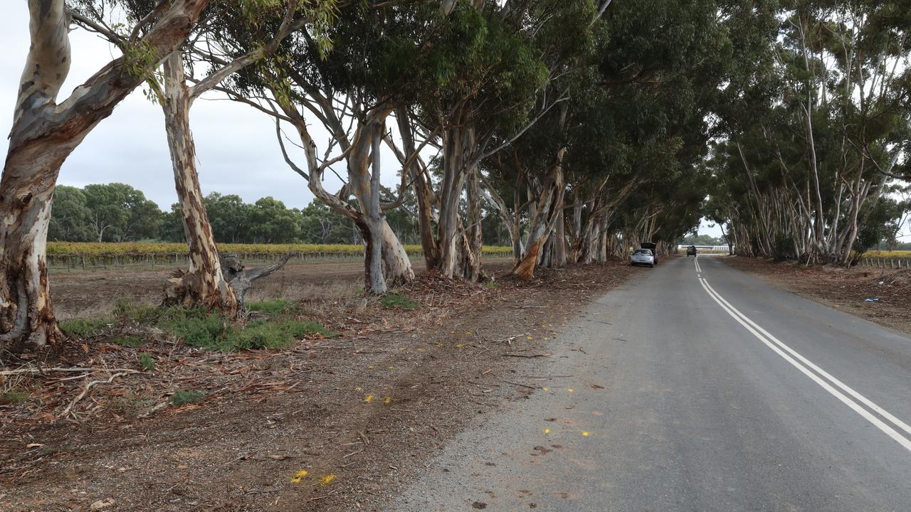 Major Crash are at the scene at Lake Plains, South Australia and are still investigating the incident. Picture: Dean Martin