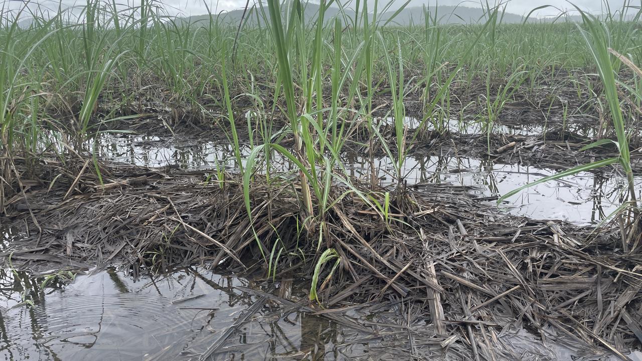 QLD announces low-interest loans for flood hit farms, businesses