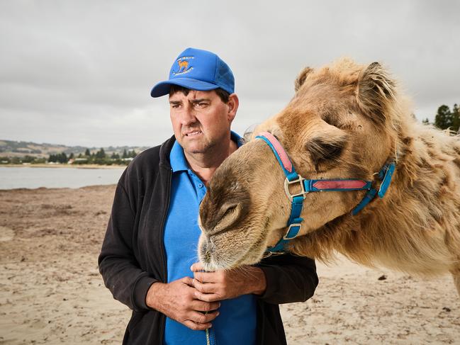 Kym Healy from A1 Amusements with the camel, Teddy, 24 in Victor Harbor, where camel rides have resumed after an accident earlier in January, Thursday, Jan. 26, 2023. Picture: Matt Loxton