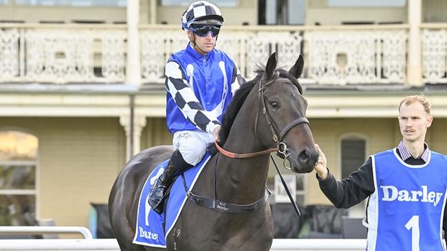 Smashing Time, to be ridden by Tommy Berry, is the value runner in the JJ Atkins. Photo: Bradley Photos