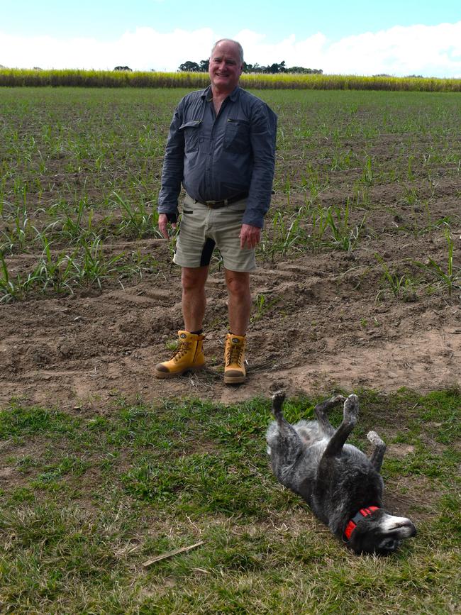 Herbert River Canegrowers chairman Chris Bosworth and Charlie in a Hinchinbrook cane field near Ingham. Picture: Cameron Bates