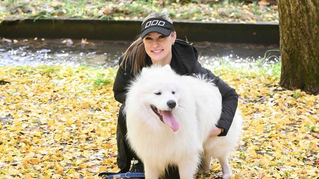 Million Paws Walk at Adelaide Botanic Gardens. Picture: Brenton Edwards