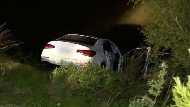 Philanthropist and socialite Lady Primrose Potter was rescued from the Yarra River after her Mercedes went flying down an embankment. Picture: 9 News