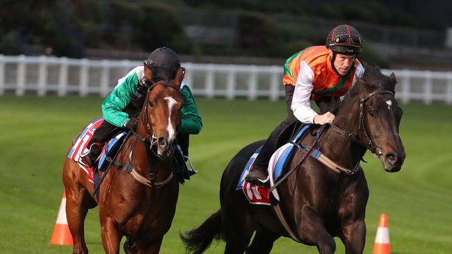 Castelvecchio (left) at Moonee Valley. Picture: Micheal Klein