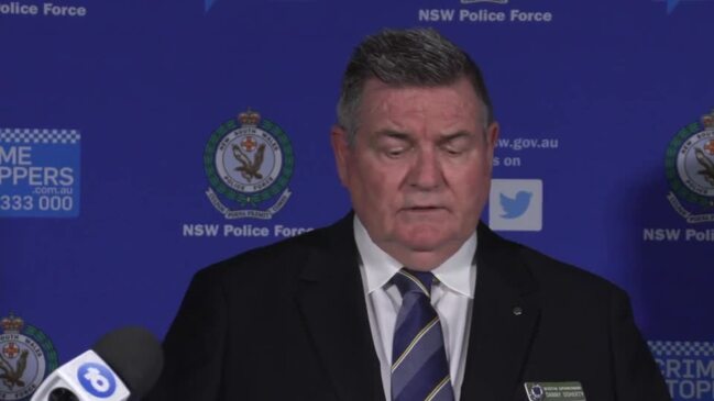 Detective Superintendent speaks about the investigation into the stabbing death of Kye Schaefer