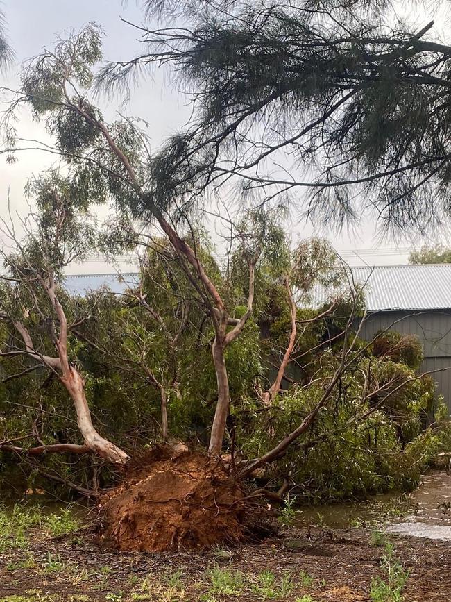 Storm damage at Wudinna on the Eyre Peninsula. Picture: Shaine Dupree