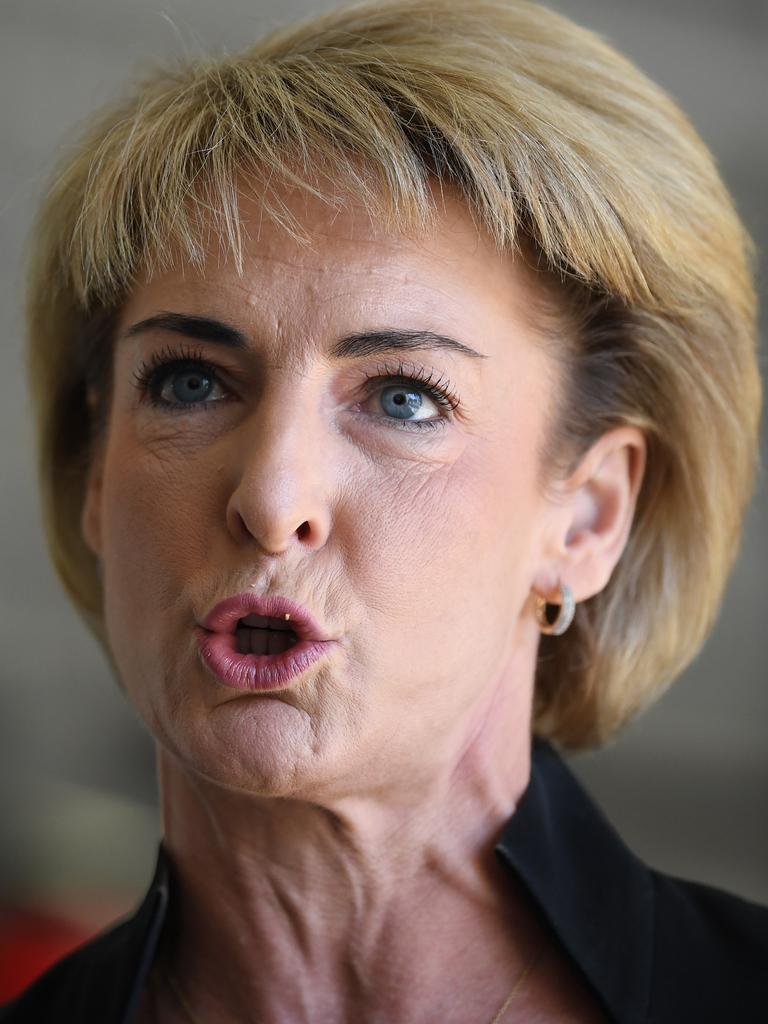 Michaelia Cash says Labor will kill the ute. Picture: AAP