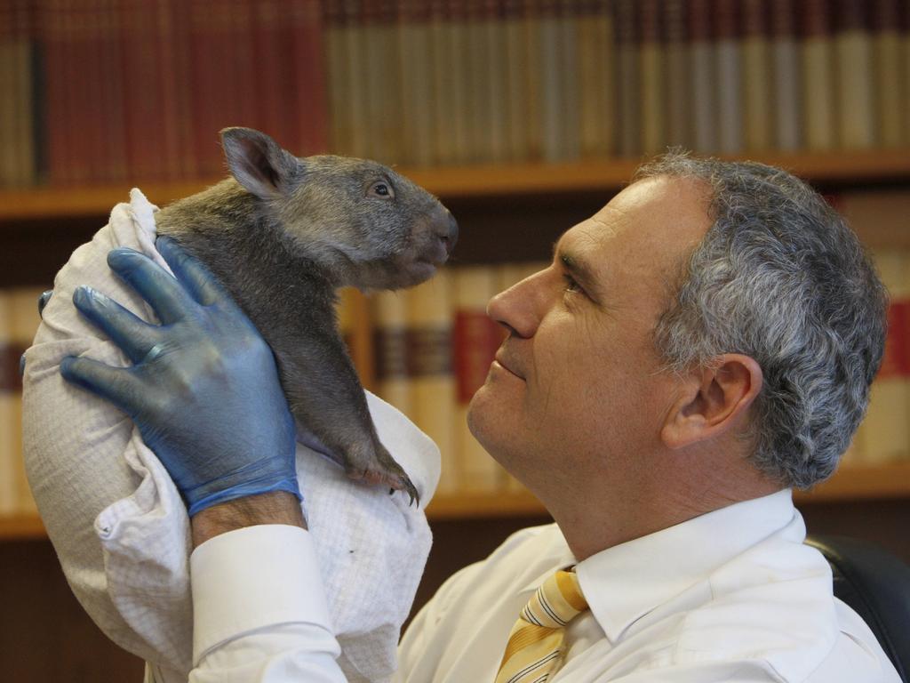 Henry with an orphaned Hairy-nosed wombat of which he is a passionate protector.