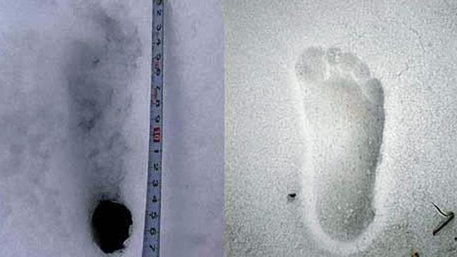 Japanese researched released this photograph in 2008 that compares a human footprint (right) with what was alleged to be the footprint of a yeti. Picture: AFP/HO/yeti Project Japan