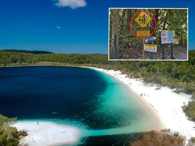 Tourists are being warned of a deadly creature beneath the water surface at K'gari