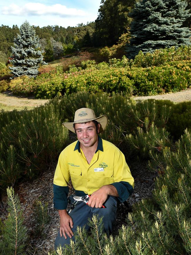 Ben Di Battista from Silvan is an apprentice gardener at the National Rhododendron Gardens in Olinda. Picture: Steve Tanner