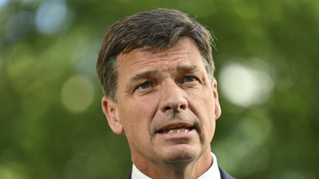 Opposition treasury spokesman Angus Taylor. Picture: Getty