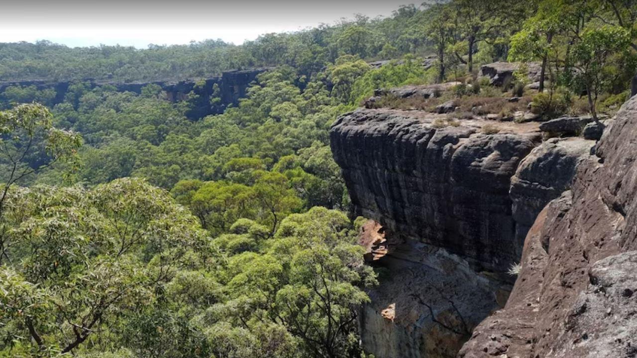 A woman slipped and fell to her death at a popular lookout near Nowra on the South Coast on Monday, police say.