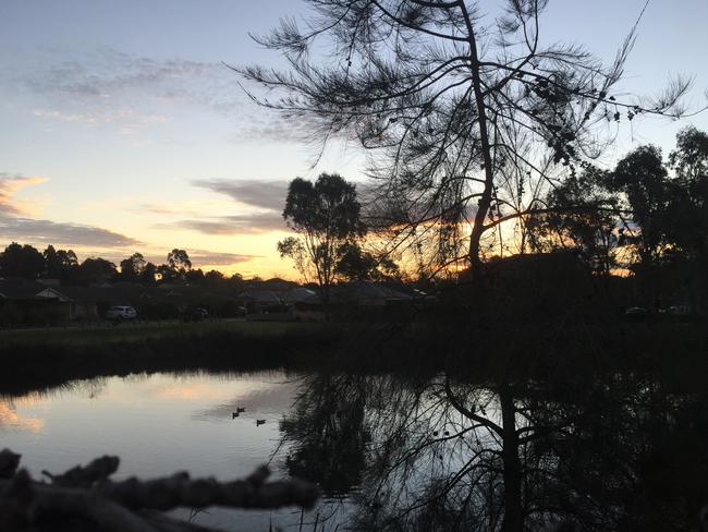 Kristie Evans, of Currans Hill, took this early morning shot in Menangle. #SnapSydney2016 #SnapSydney #SnapMacarthur