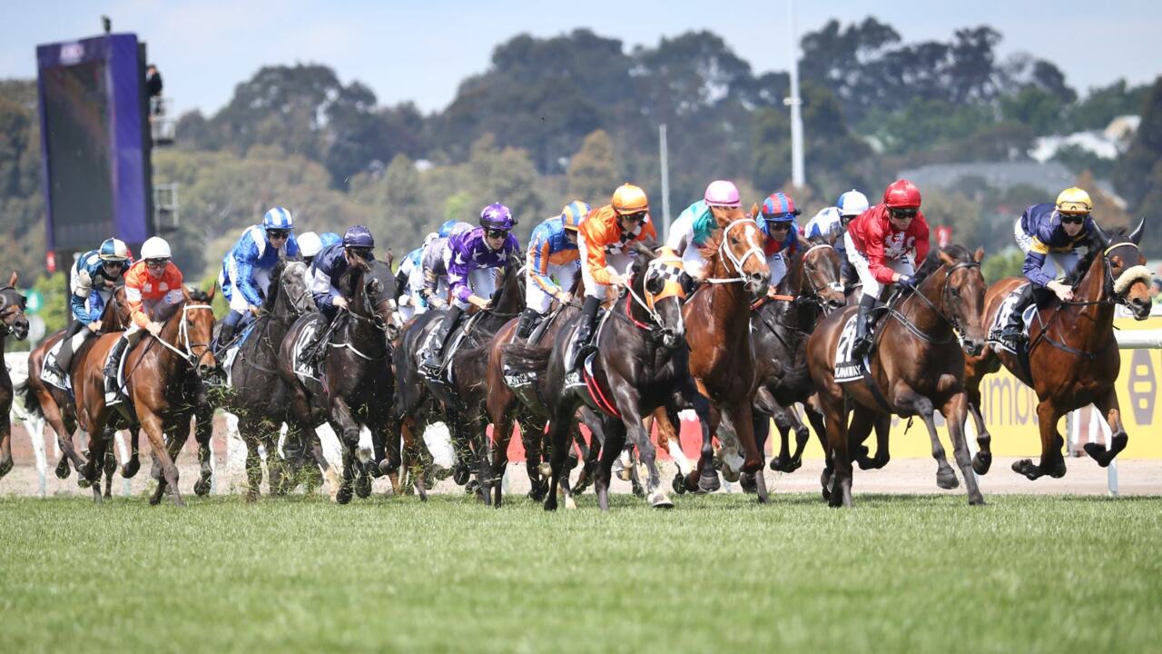 Harvey, Singleton and Ray Hadley discuss art of horse bidding