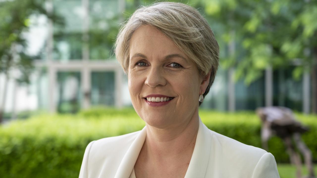 Shadow Minister for Education Tanya Plibersek. Picture: Martin Ollman