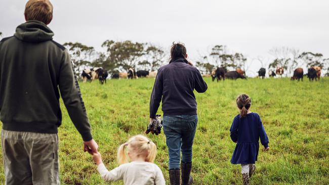 The McLeans have averaged 6500 litres per cow a year over the past few years.