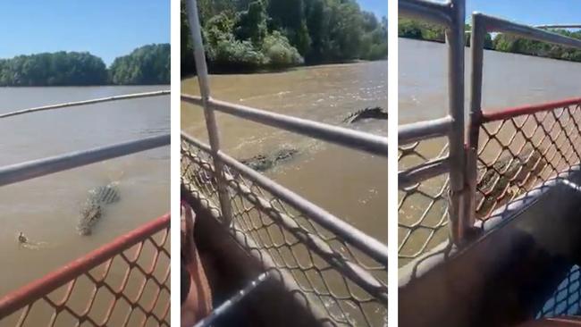 Six-metre monster croc Dominator attacks and eats a smaller croc's leg during Adelaide River Cruise tour.